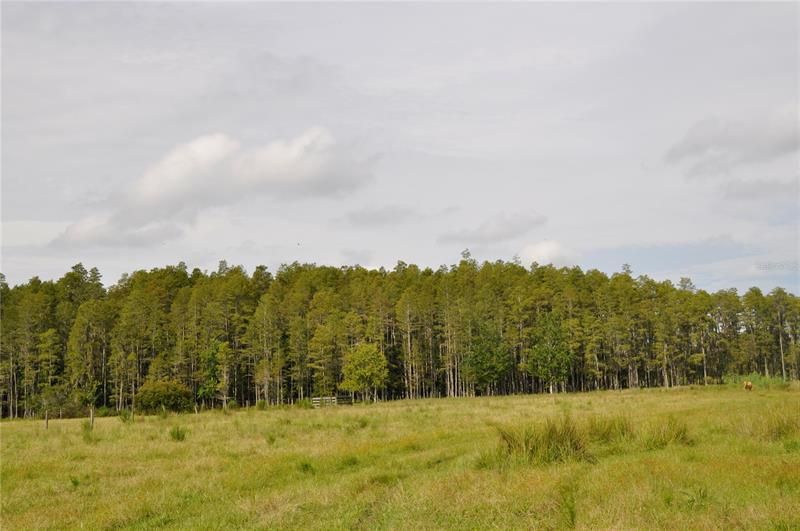 Recently Sold: $350,000 (20.13 acres)