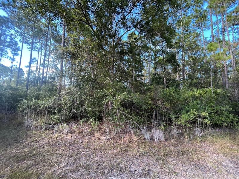 Recently Sold: $14,500 (1.25 acres)