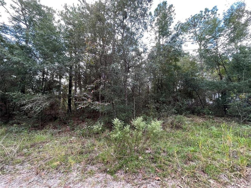 Recently Sold: $6,500 (0.34 acres)