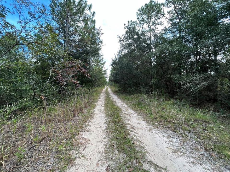 Vendido Recientemente: $6,500 (0.34 acres)