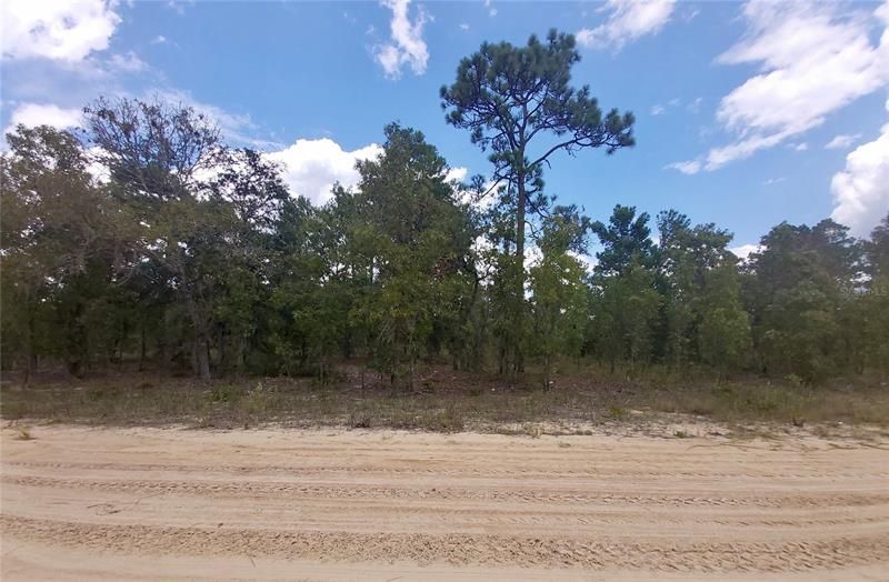 Recently Sold: $6,950 (0.47 acres)