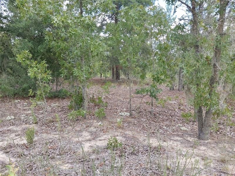 Recently Sold: $6,950 (0.47 acres)