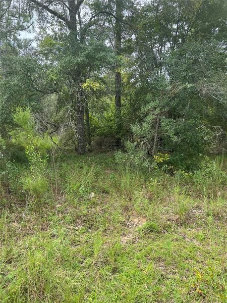 Vendido Recientemente: $25,000 (1.17 acres)