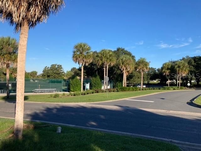 View From Front Yard of Tennis Courts, Lake