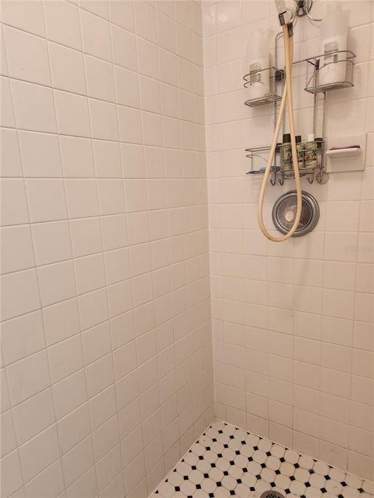 Step-in Shower