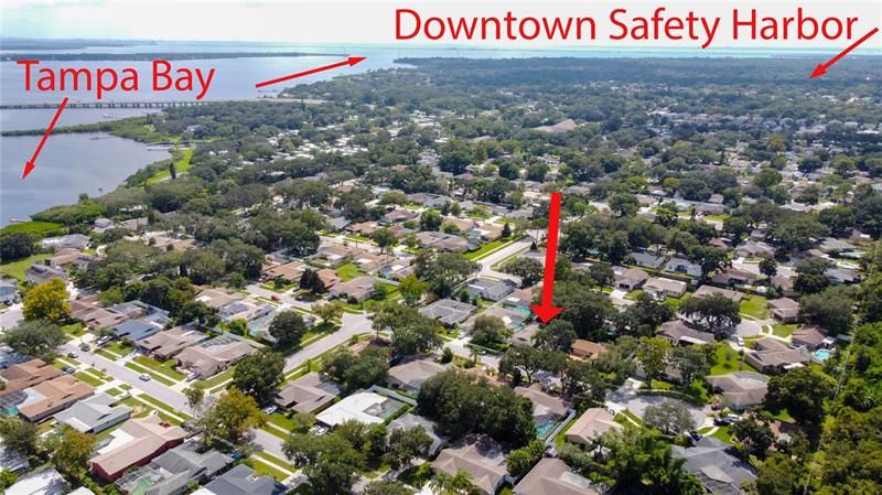 10 minutes to downtown Safety Harbor