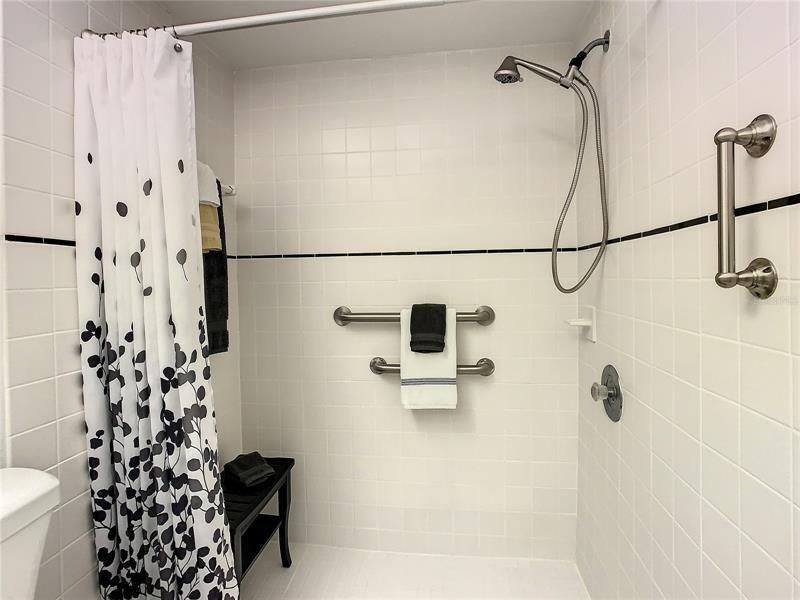 Master Bedroom Walk-In Shower