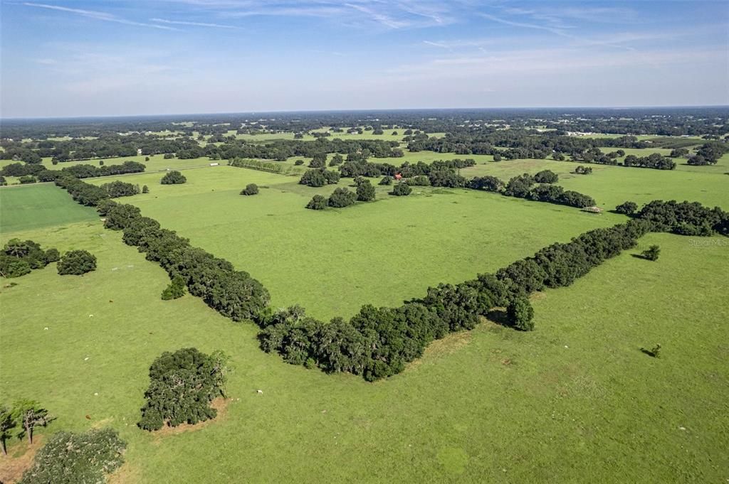 For Sale: $12,000,000 (195.00 acres)