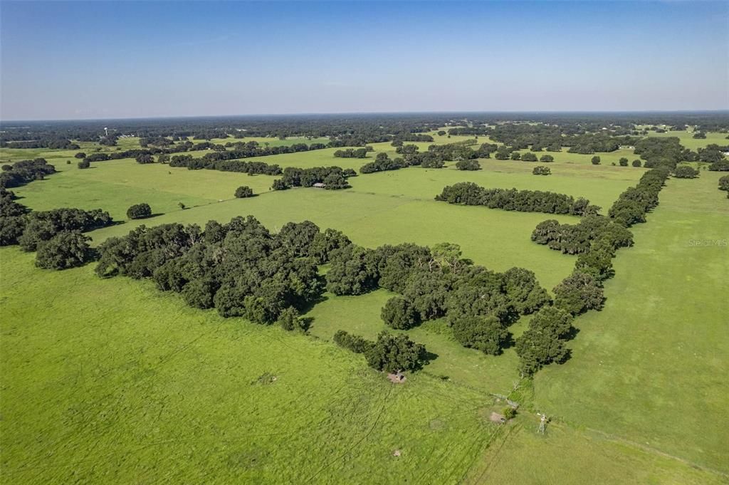 For Sale: $12,000,000 (195.00 acres)