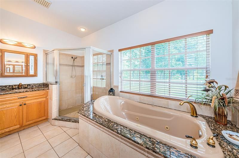 Main Bathroom off of Main Bedroom First Floor