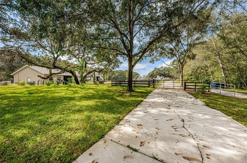 VIEW OF THE BARN FROM THE MAIN HOUSE