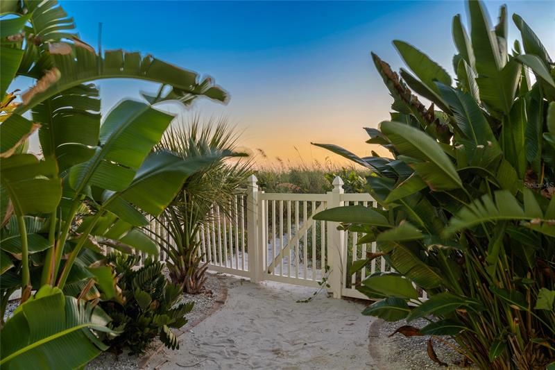 Beautiful tropical privacy landscape!