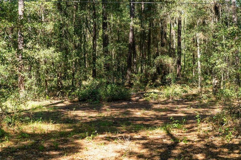 Recently Sold: $124,900 (5.30 acres)