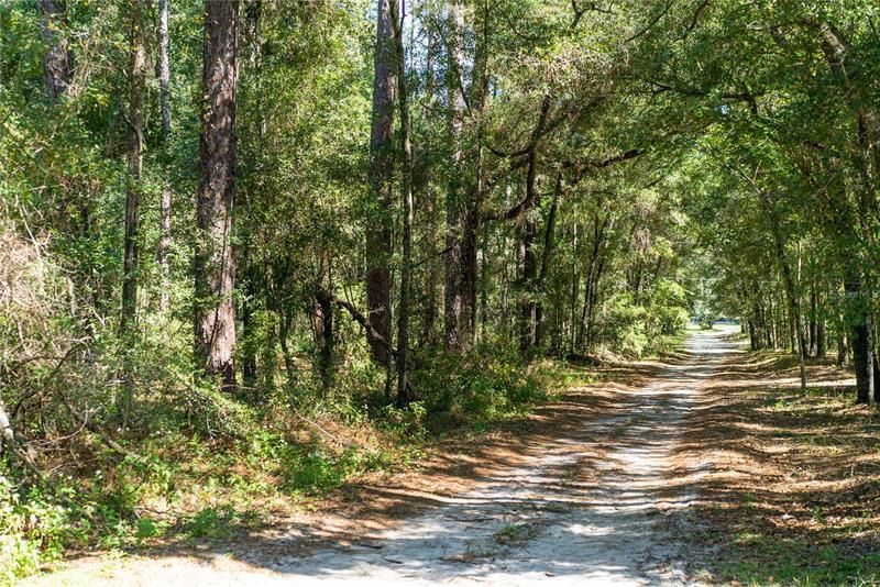 Recently Sold: $124,900 (5.30 acres)