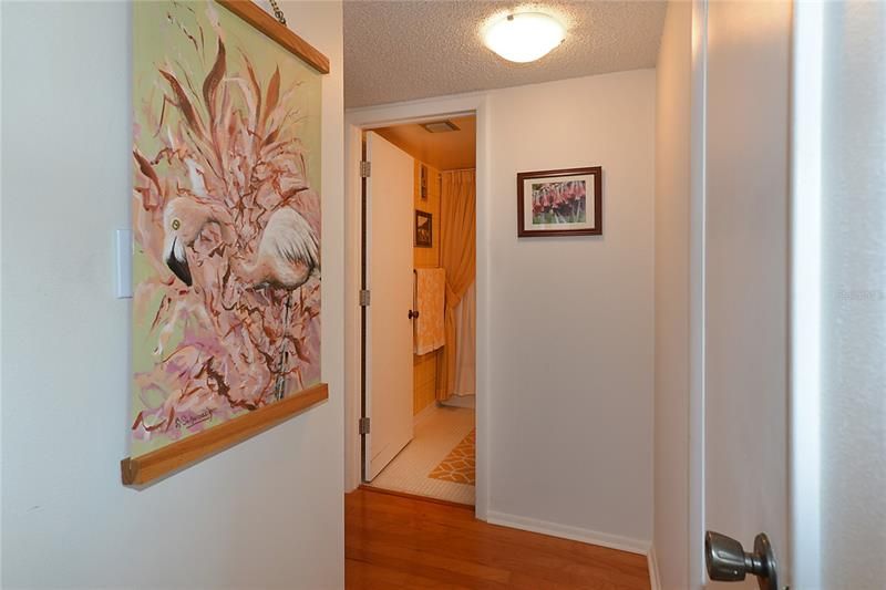 Hiding behind the Flamingo is a brand new Electrical panel, this hallway is leading to the guest bathroom and 2nd bedroom.