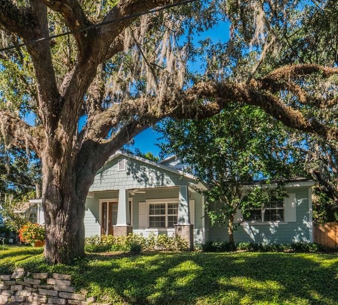 Corner Lot Home Surrounded By Beautiful Oak Trees