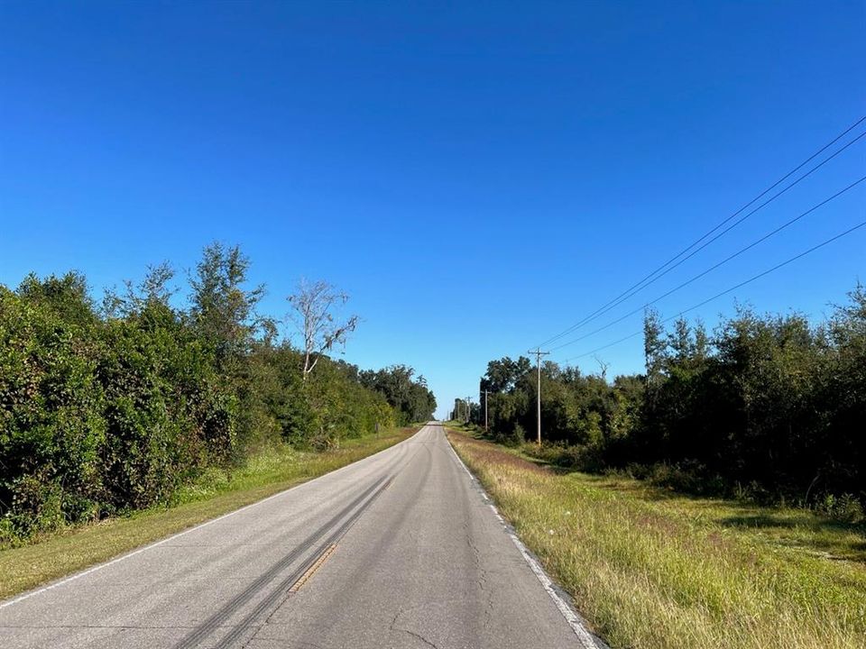 looking north on 205th Avenue