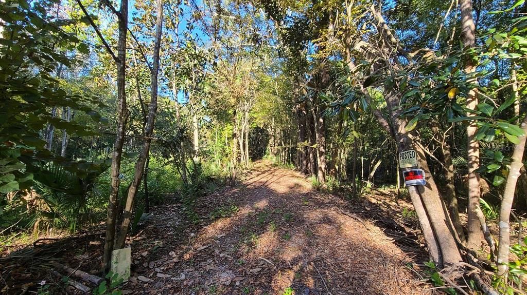 Vendido Recientemente: $110,900 (6.00 acres)