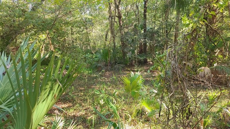 Vendido Recientemente: $110,900 (6.00 acres)