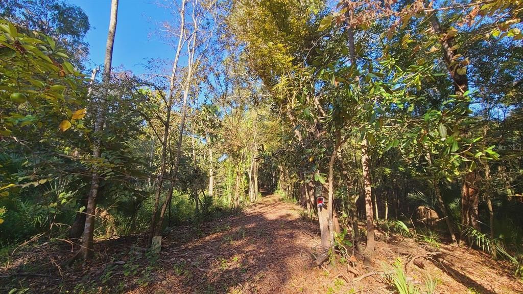 Vendido Recientemente: $110,900 (6.00 acres)