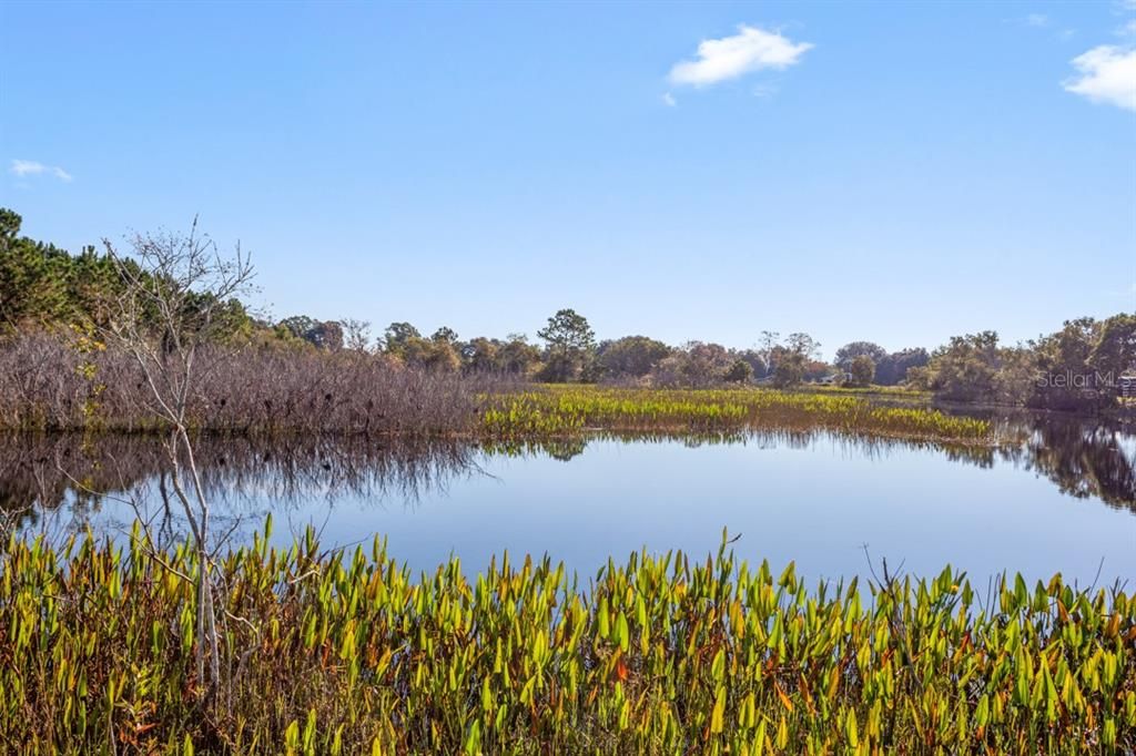 Vendido Recientemente: $349,000 (21.00 acres)