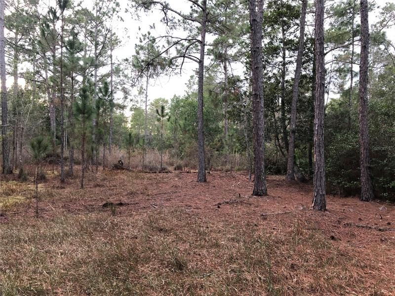 Recently Sold: $19,999 (7.26 acres)