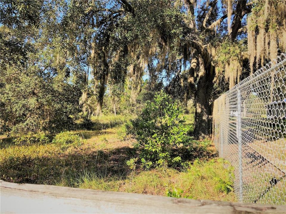 13 LOOKING FROM NE CORNER BOUNDARY ALONG NEIGHBORS FENCLINE TO THE MIDDLE OF PROPERTY