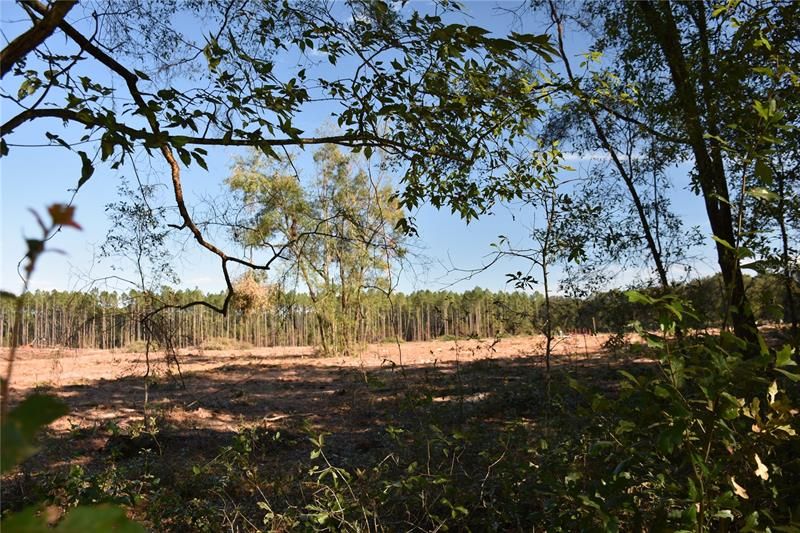 Active With Contract: $589,000 (40.00 acres)