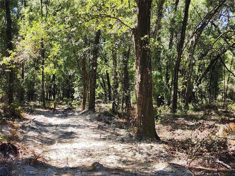 Recently Sold: $80,000 (5.61 acres)
