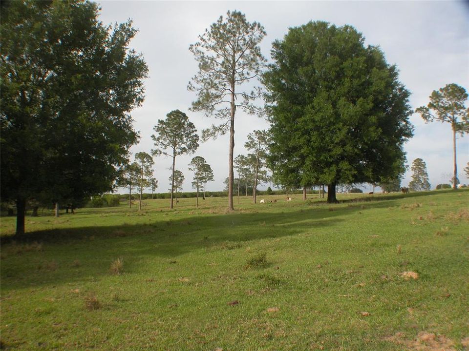 Recently Sold: $1,483,900 (78.15 acres)