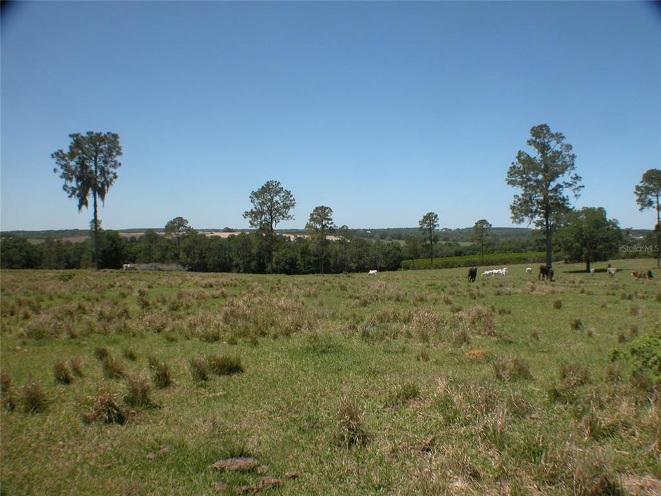 Vendido Recientemente: $1,483,900 (78.15 acres)