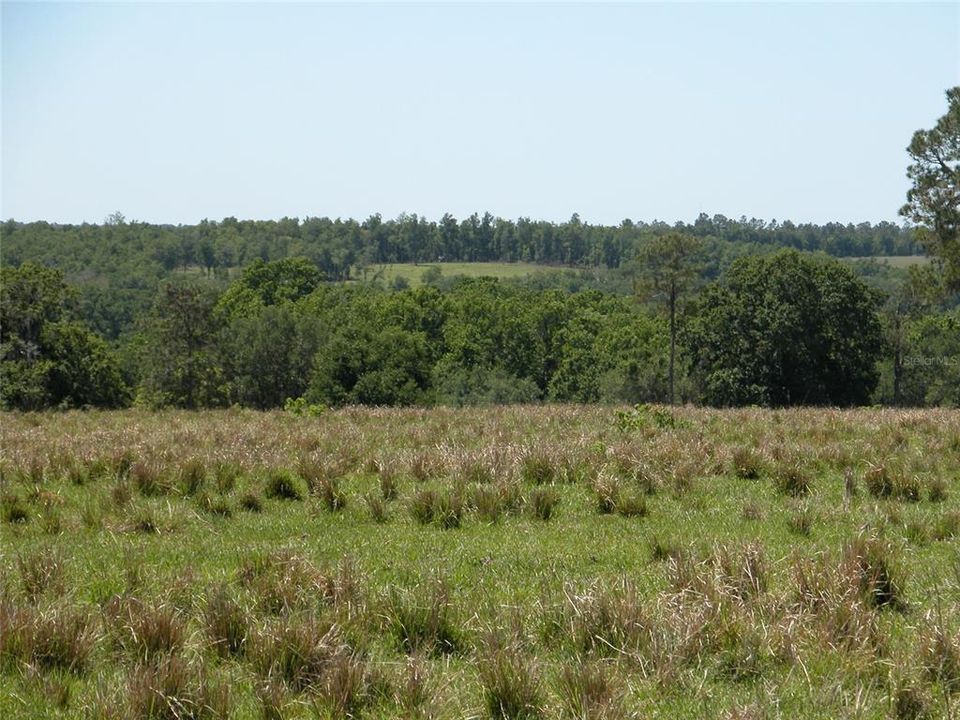 Recently Sold: $1,483,900 (78.15 acres)