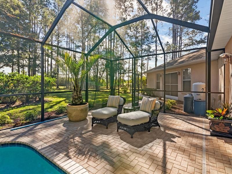 Beautiful Lounge/Sitting area Overlooking the Pool and Backyard