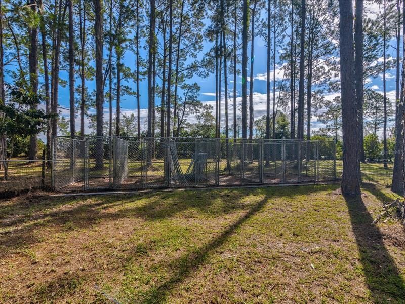 View of the Right Side of the Back yard with a Custom Dog Run