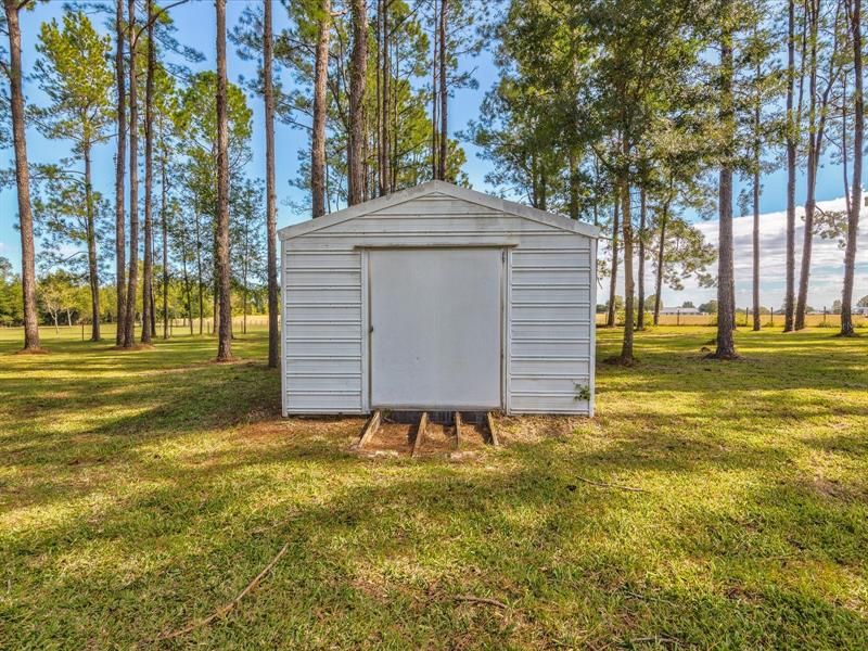 View of the Metal Shed in the Backyard and the Rear Property Fence in the Distance