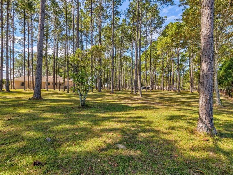 View from the Left Side of the Backyard Looking Towards the Front of the Property with the Main House on the Left