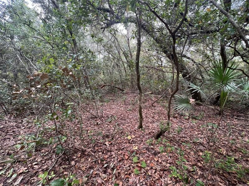 Recently Sold: $79,000 (8.67 acres)