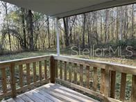 Front porch view into the woods