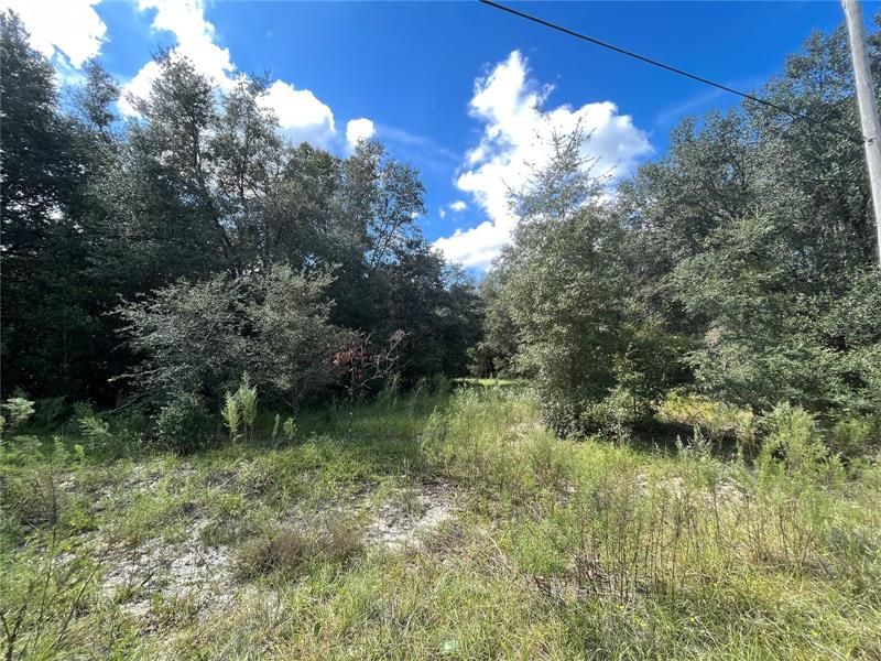 Recently Sold: $17,900 (1.09 acres)