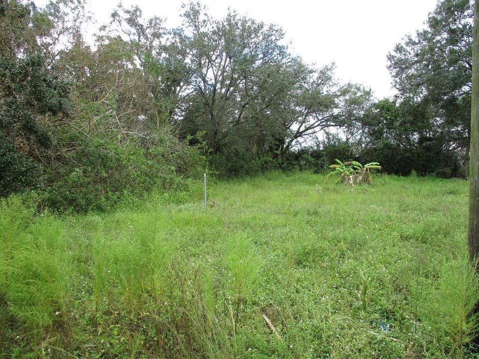 Recently Sold: $15,000 (0.29 acres)