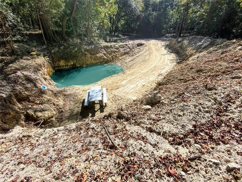 Недавно продано: $225,000 (20.00 acres)