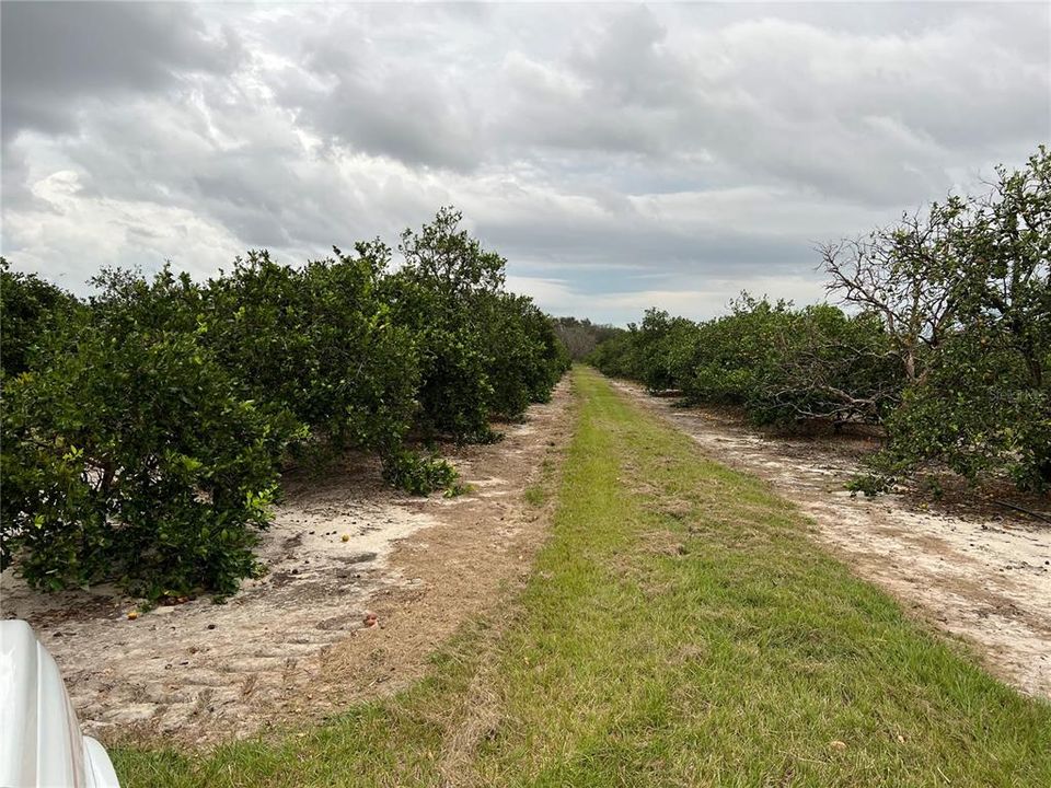 Recently Sold: $702,000 (56.18 acres)