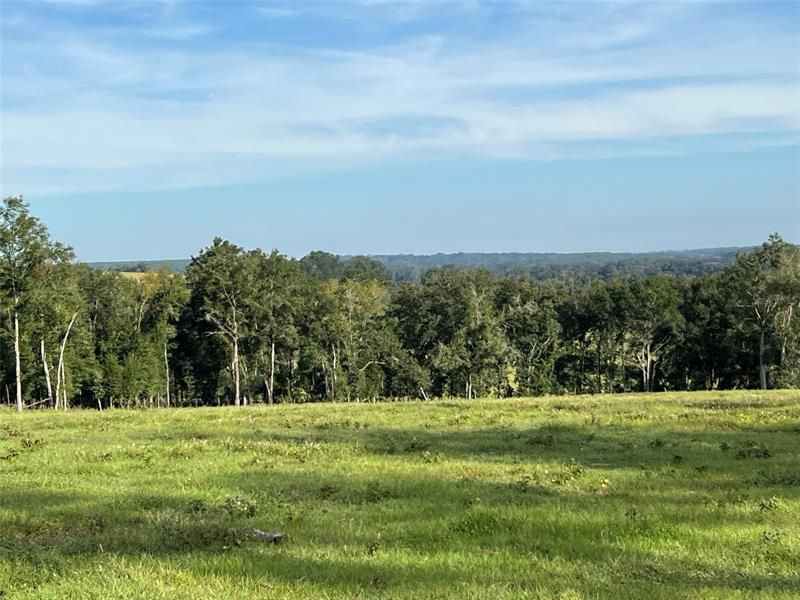 Recently Sold: $1,600,000 (80.00 acres)