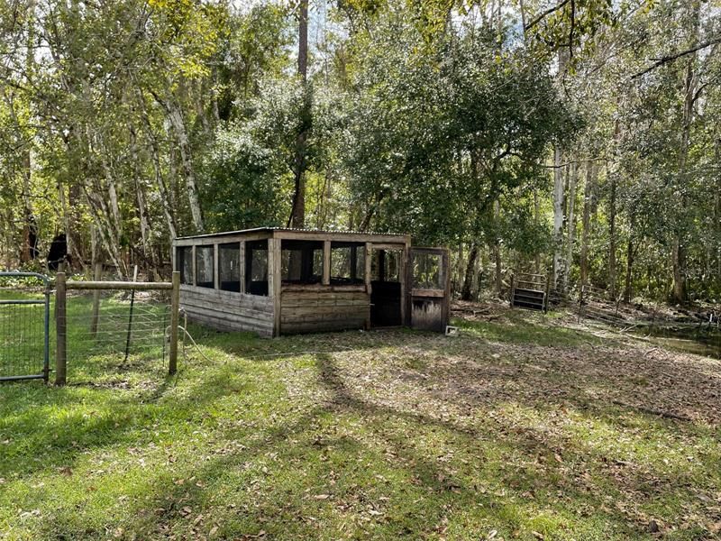 Duck structure by pond