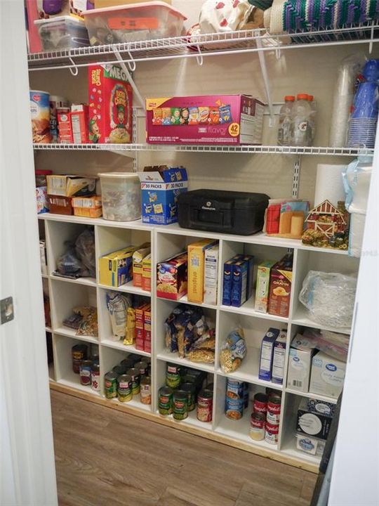 Large under stairs storage room