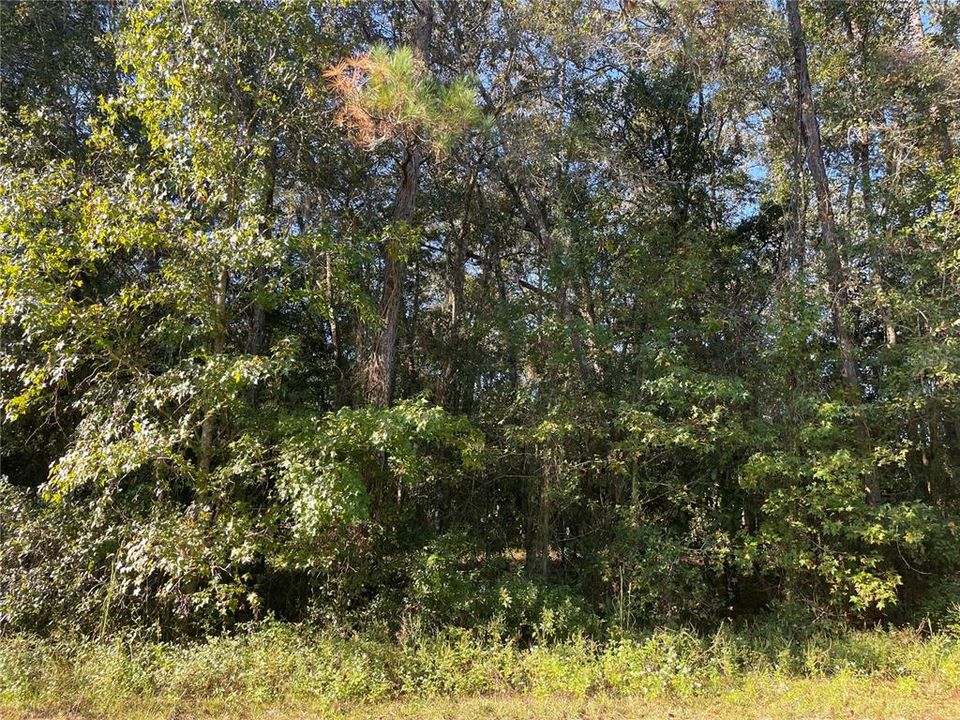 На продажу: $75,000 (3.65 acres)