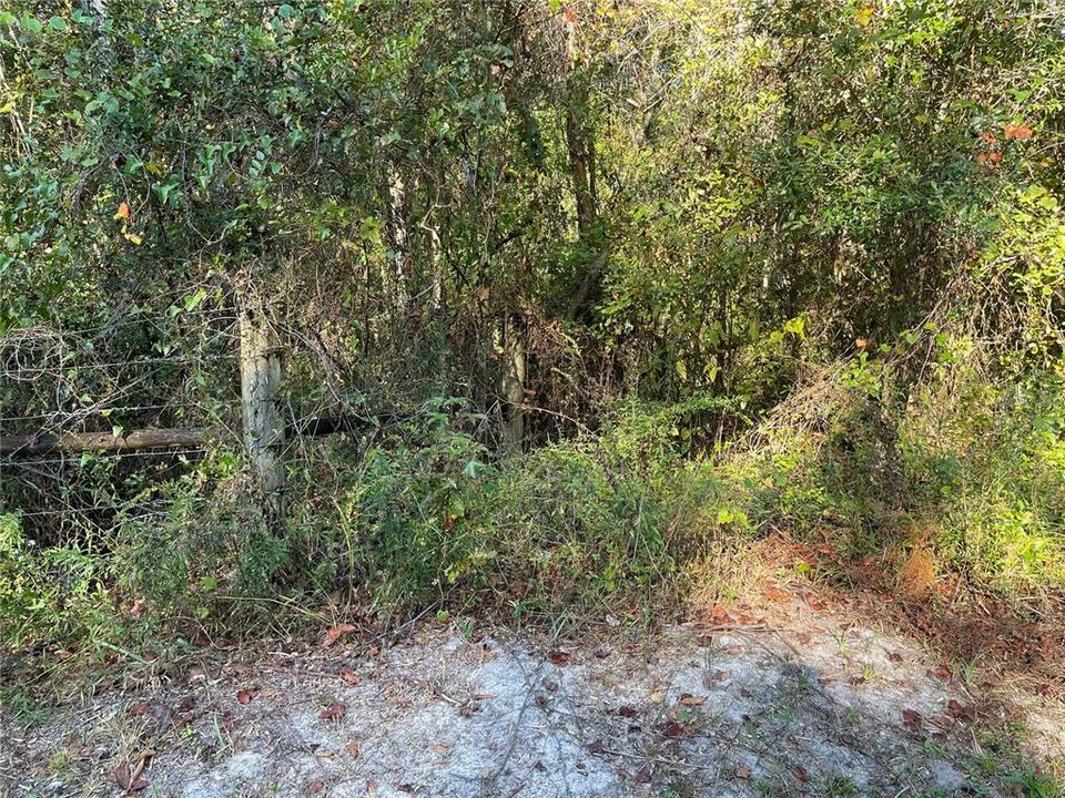 На продажу: $75,000 (3.65 acres)