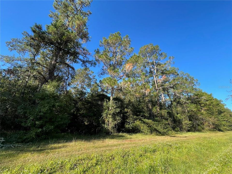 На продажу: $75,000 (3.65 acres)