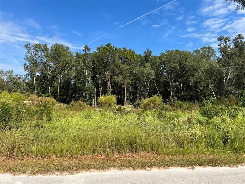 Recently Sold: $32,000 (0.24 acres)