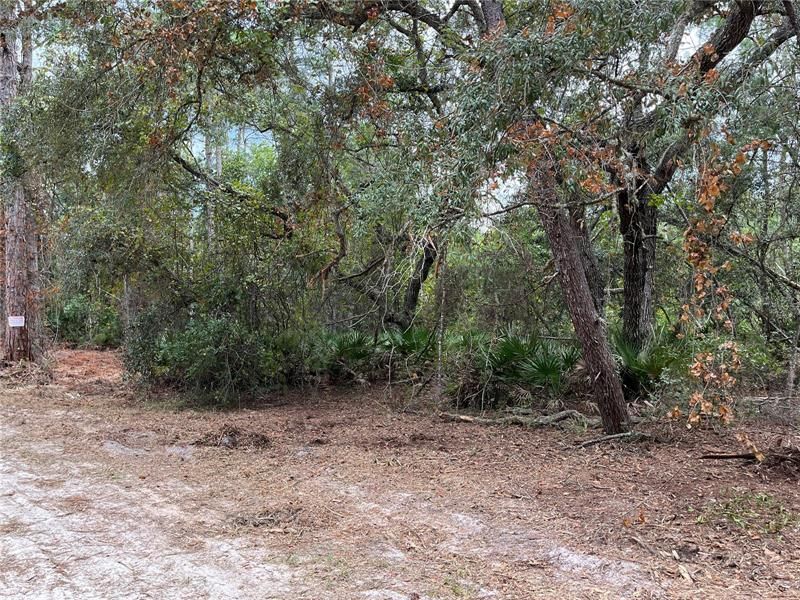 Recently Sold: $11,900 (1.22 acres)